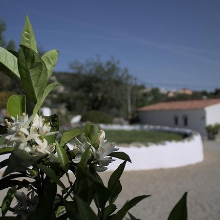 Suite Swimming Pool Quinta da Eira 140 years old Loulé Exterior foto